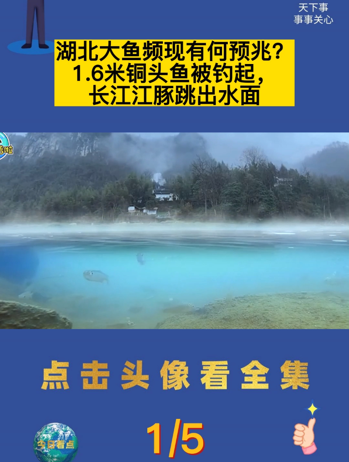 湖北大鱼频现有何预兆?1.6米铜头鱼被钓起,长江江豚跳出水面1
