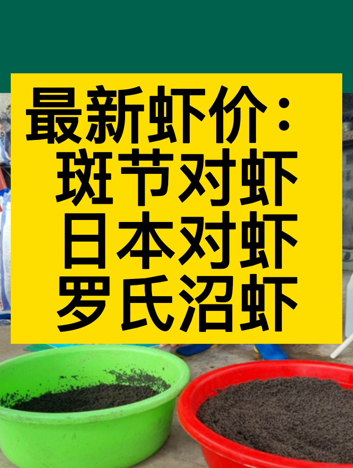 市场价格变化大,大虾依旧受到欢迎!10月4日最新虾价!