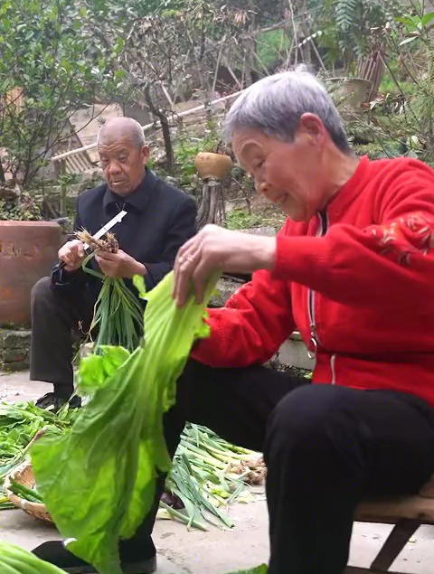 蒜苗炒腊肉,酸辣子木耳炒鸡,把爷爷开心的,谁来陪爷爷喝一杯