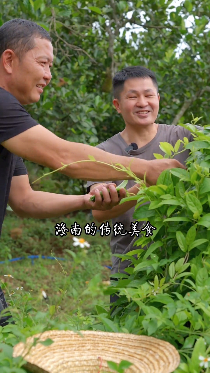 鸡屎藤粿子是海南传统的盛夏清凉美食