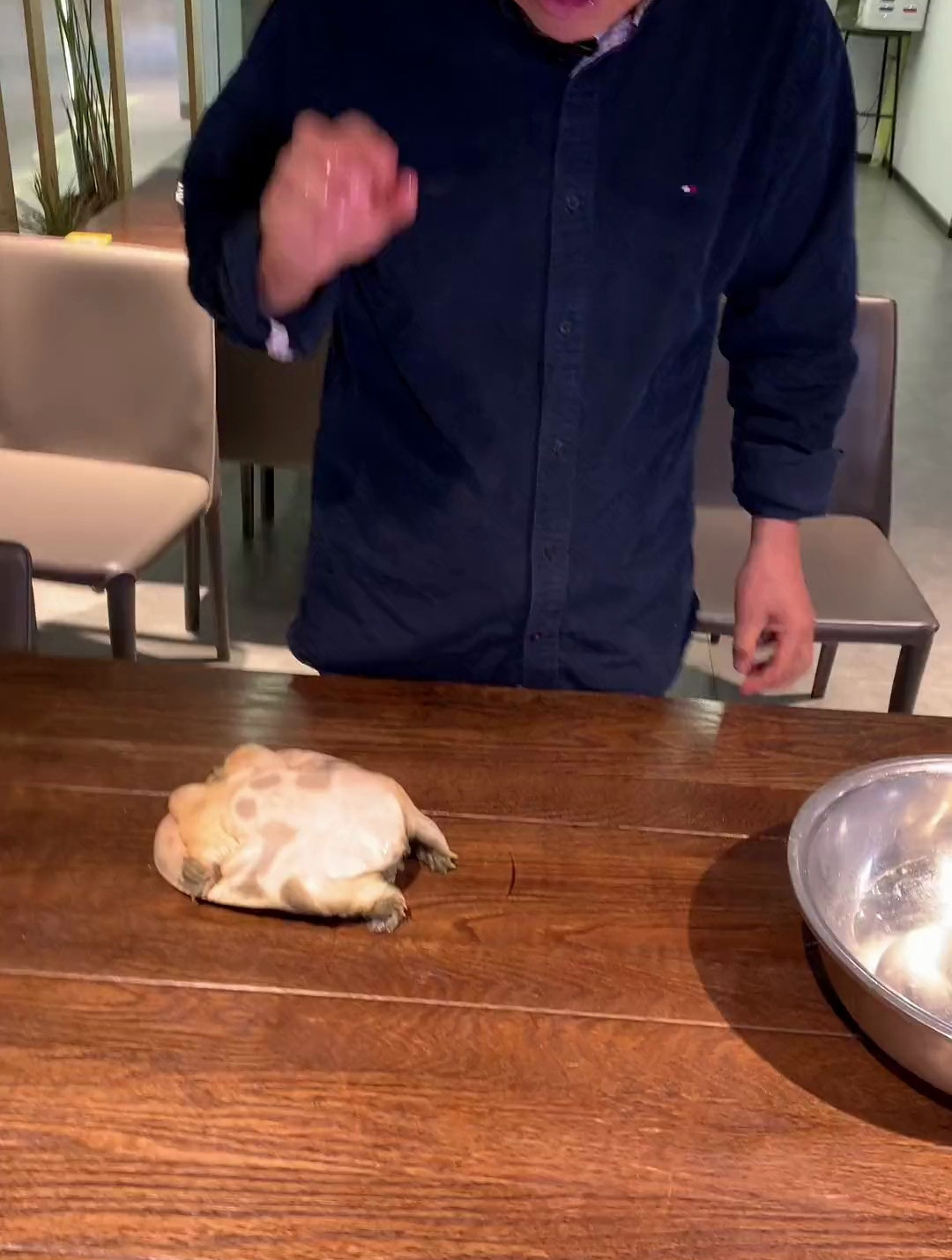 如何选甲鱼如何清洗甲鱼