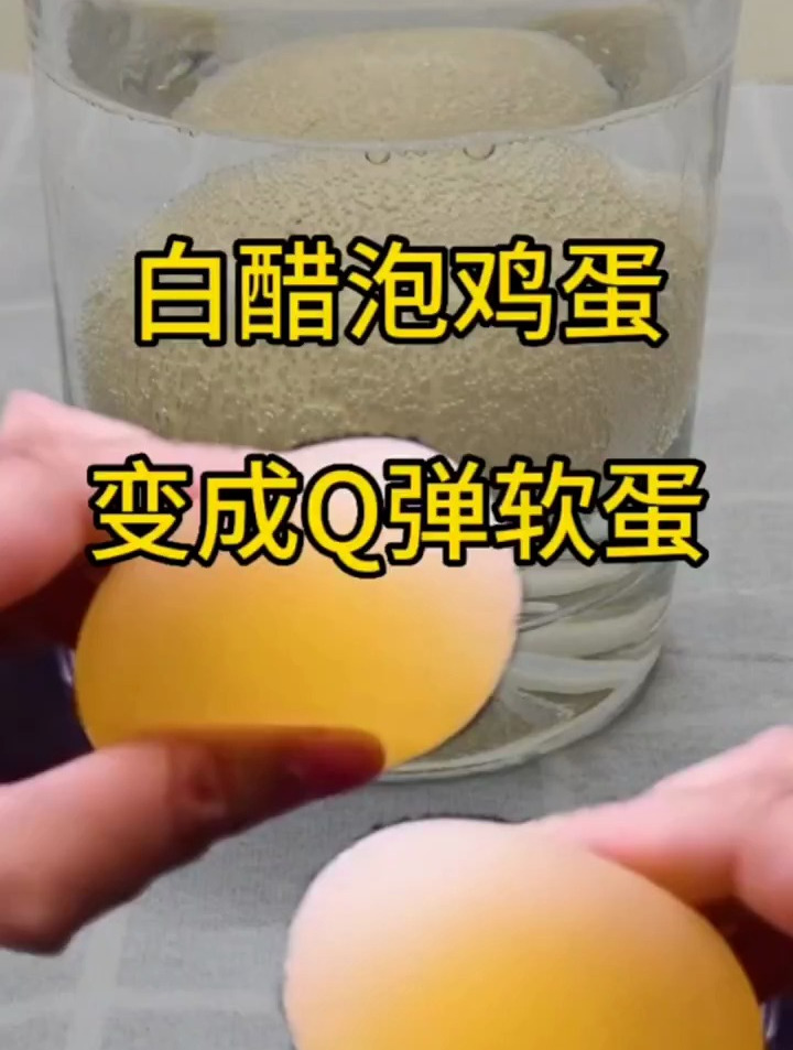 科学实验 测评白醋泡鸡蛋