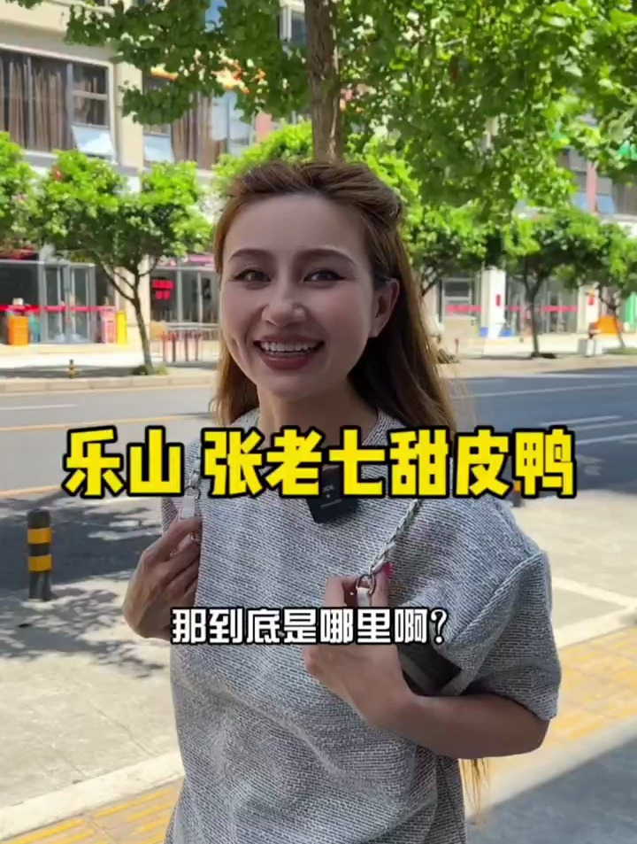 乐山路边卤香味很足的甜皮鸭,感觉很正宗