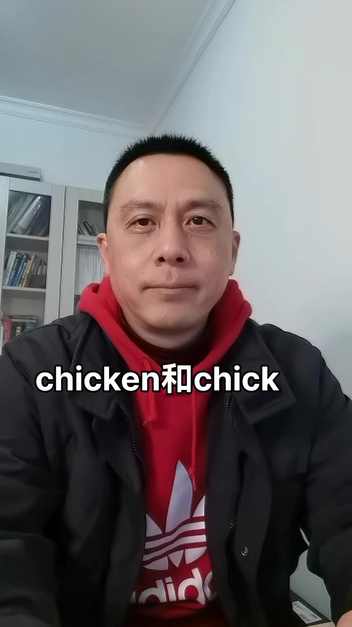 TG-2024-02-28-chicken 与chick的区别