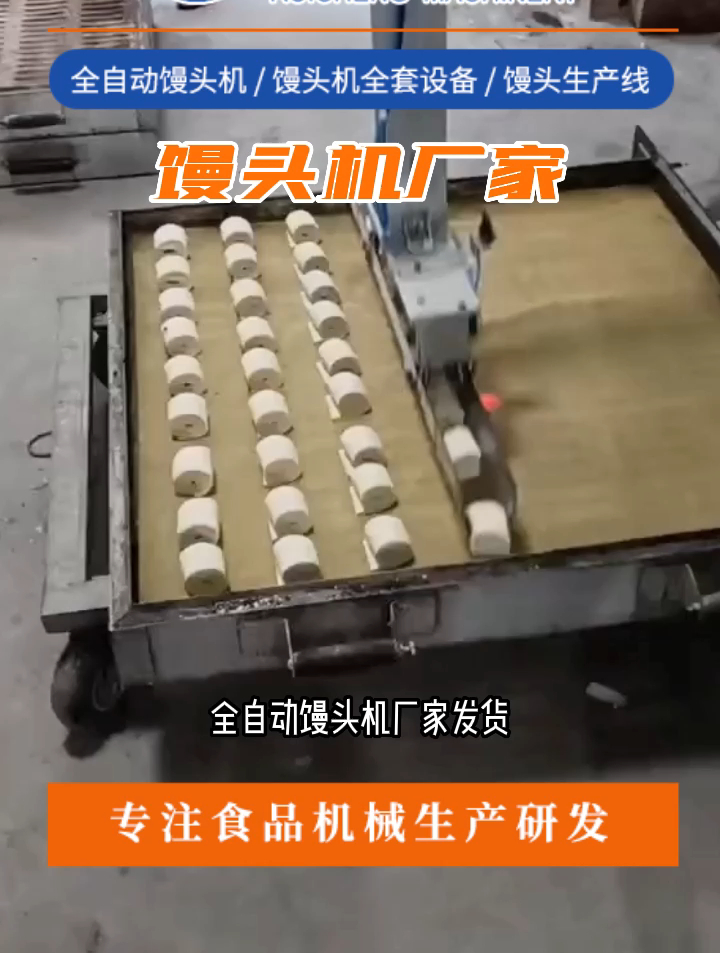 馒头机全套设备实拍