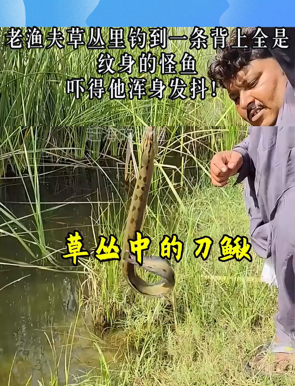 老渔夫草丛里钓到一条背上全是纹身的怪鱼,吓得他浑身发抖!