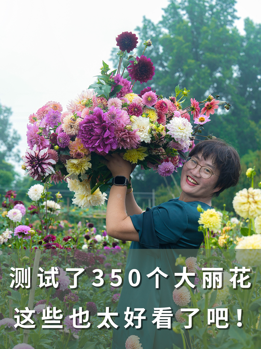 测试了350个大丽花,这些也太好看了吧!