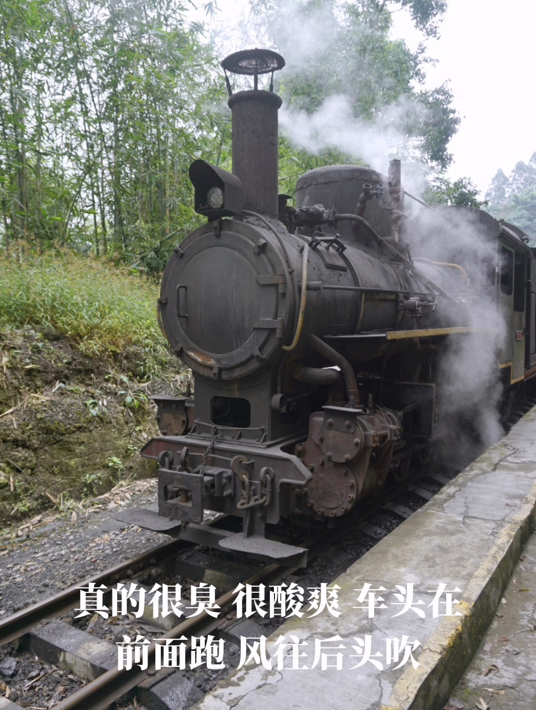 四川乐山犍为嘉阳小火车,味道真的很臭很酸爽