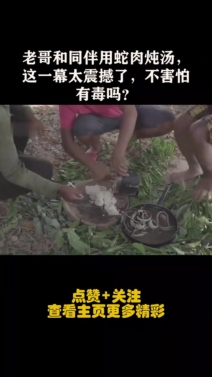 老哥和同伴用蛇肉炖汤,这一幕太震撼了,不害怕有毒吗?