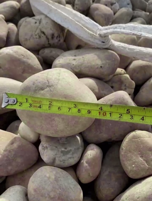 齐齐哈尔园林景观路面铺设用鹅卵石 五彩鹅卵石