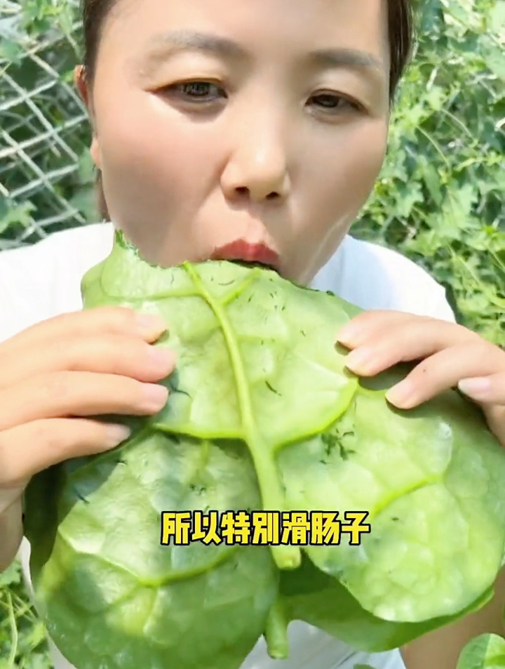 吃木耳菜可以清肠胃,但是一定要注意它的搭配禁忌,后悔才知道!