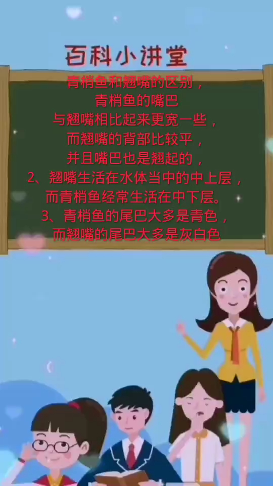 青梢鱼和翘嘴的区别