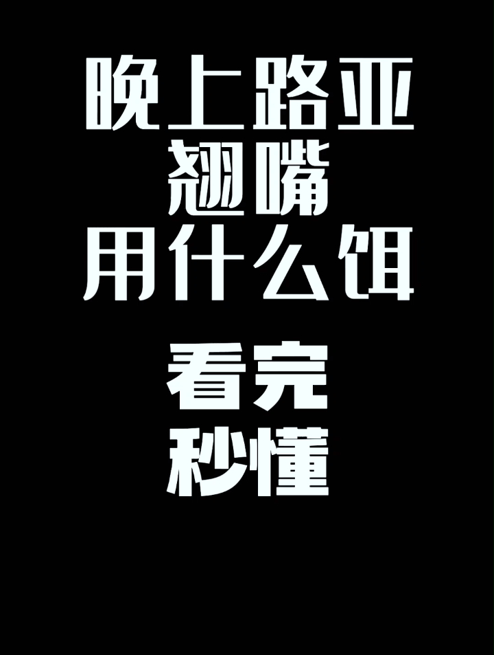 晚上路亚翘嘴用什么饵?帮你揭秘各种饵的优缺点!(1)