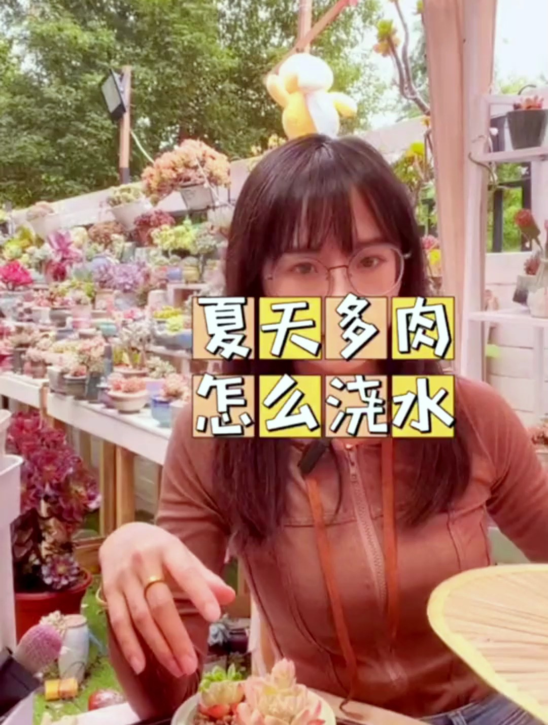 夏天多肉怎么浇水?多肉新手必看!