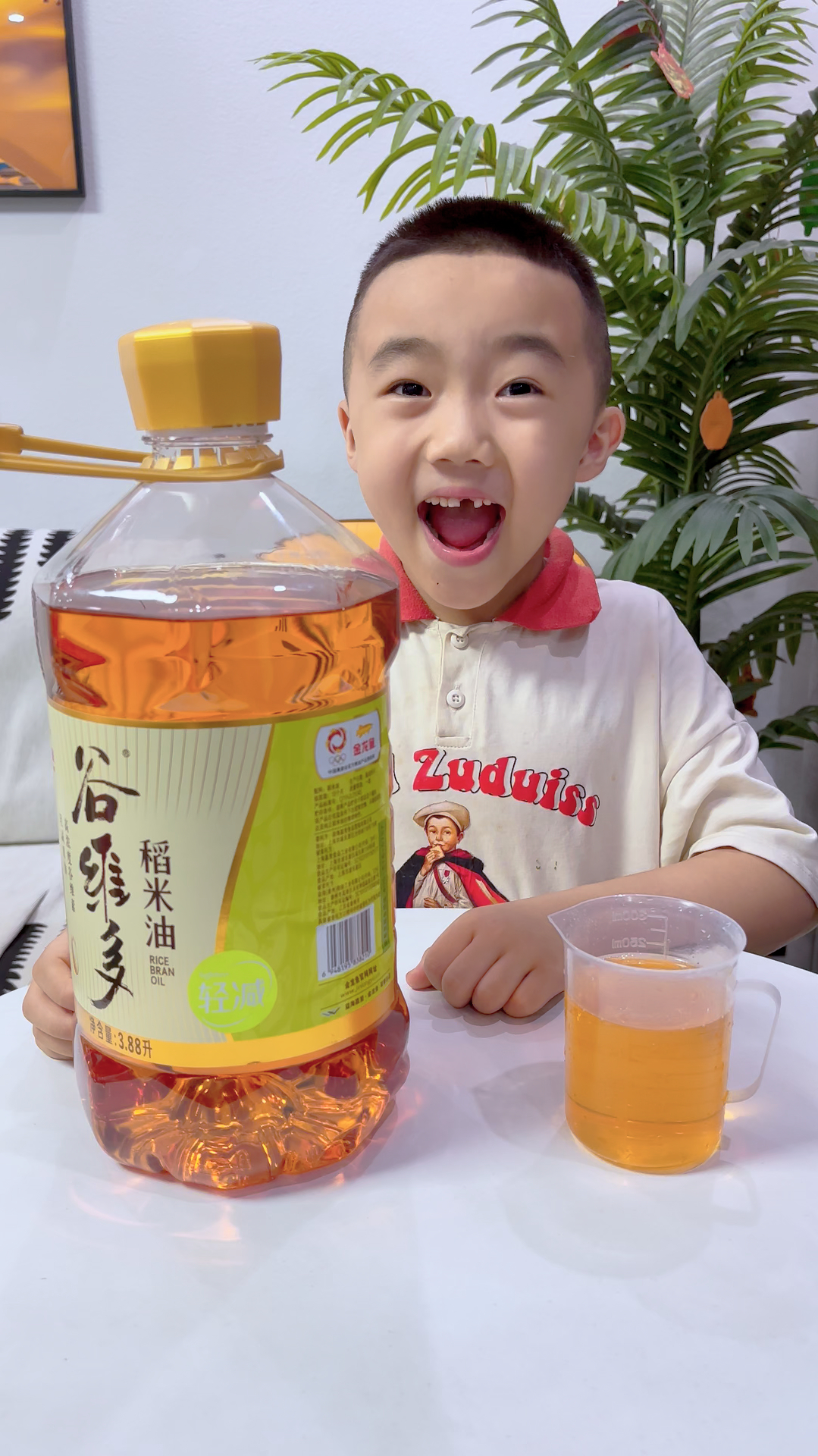 金龙鱼谷维多稻米油,营养又好吃