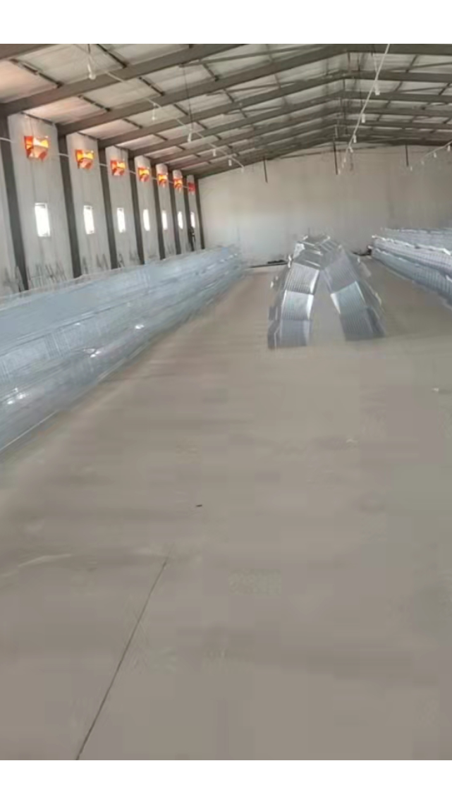 正在安装养1万只鸡的鸡舍,三层鸡笼分四排。自动化成套设备