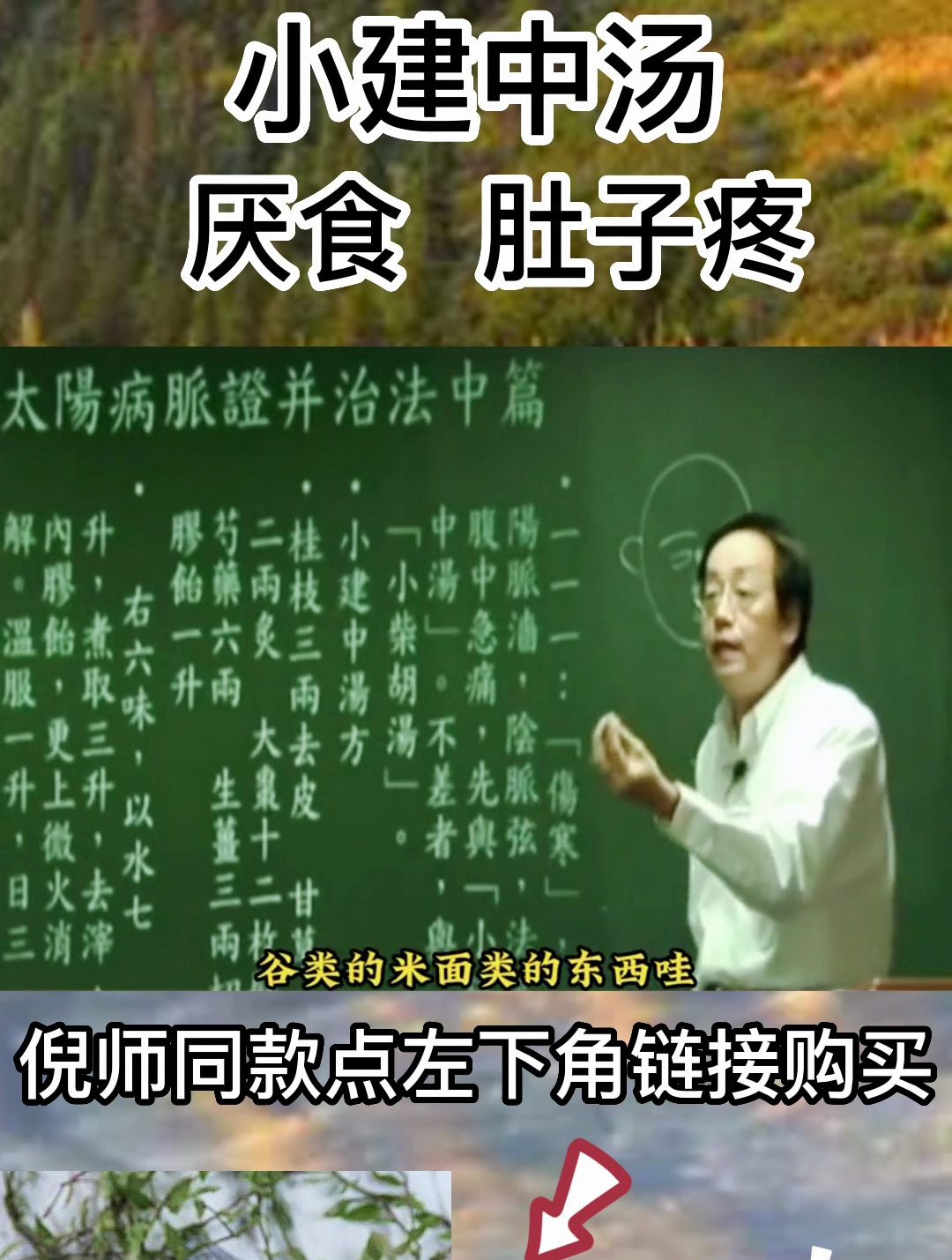 倪教授:手足烦热,咽干口燥可以试一试小建中汤