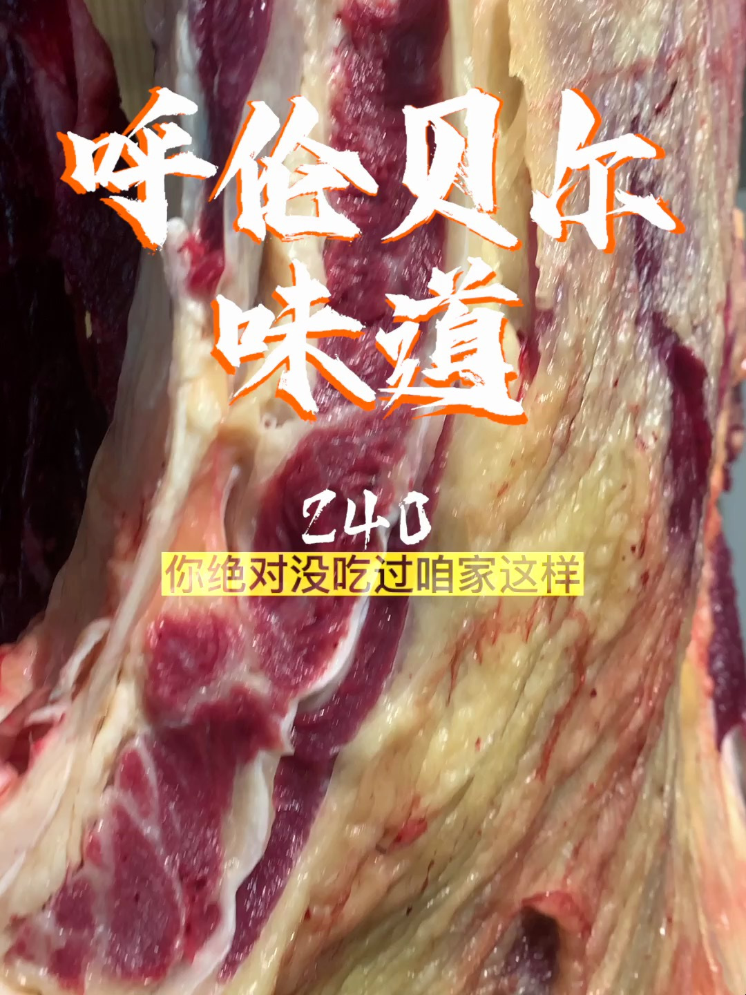 草原游牧散养黄牛肉天然绿色健康营养呼伦贝尔牛肉内蒙古