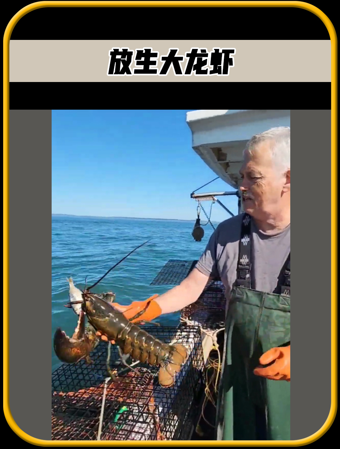 这个小哥好不容易,抓到了一只大龙虾,为什么不带回家吃掉