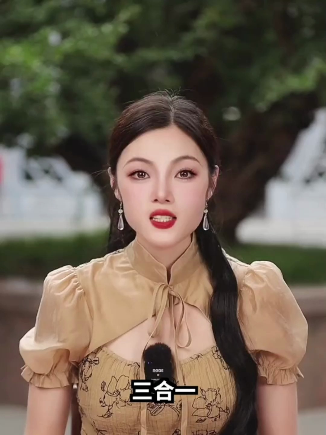 新手快乐缸能养什么鱼?