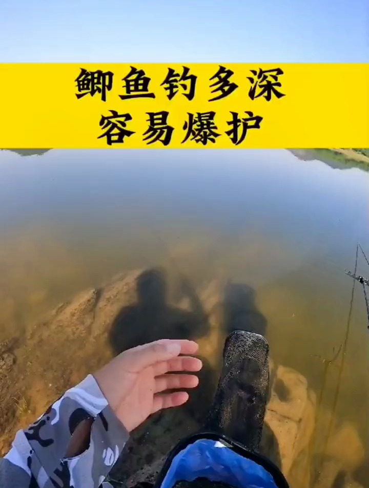 鲫鱼钓多深,容易爆护?不同季节有所变化