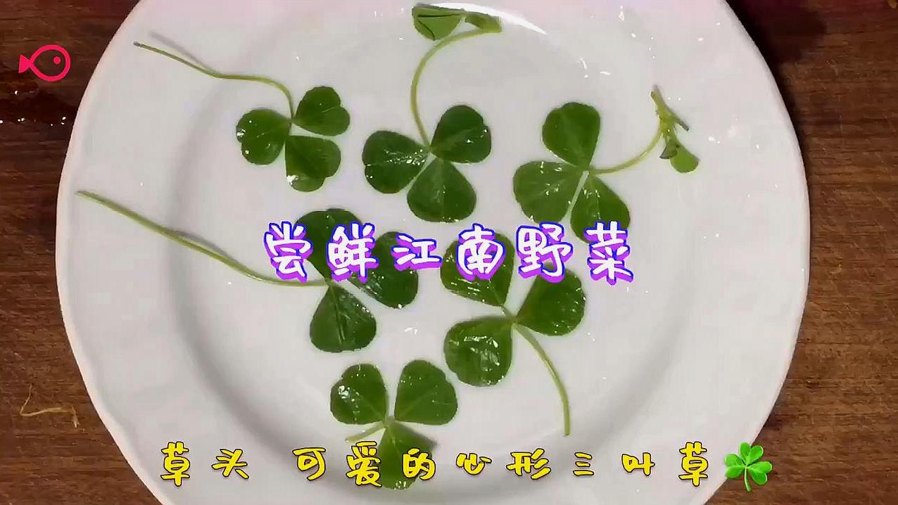 #三时三餐好好吃饭# 青草也可以很好吃,马兰头,草头,清炒一下,鲜嫩,原香美味。#当夏最忙