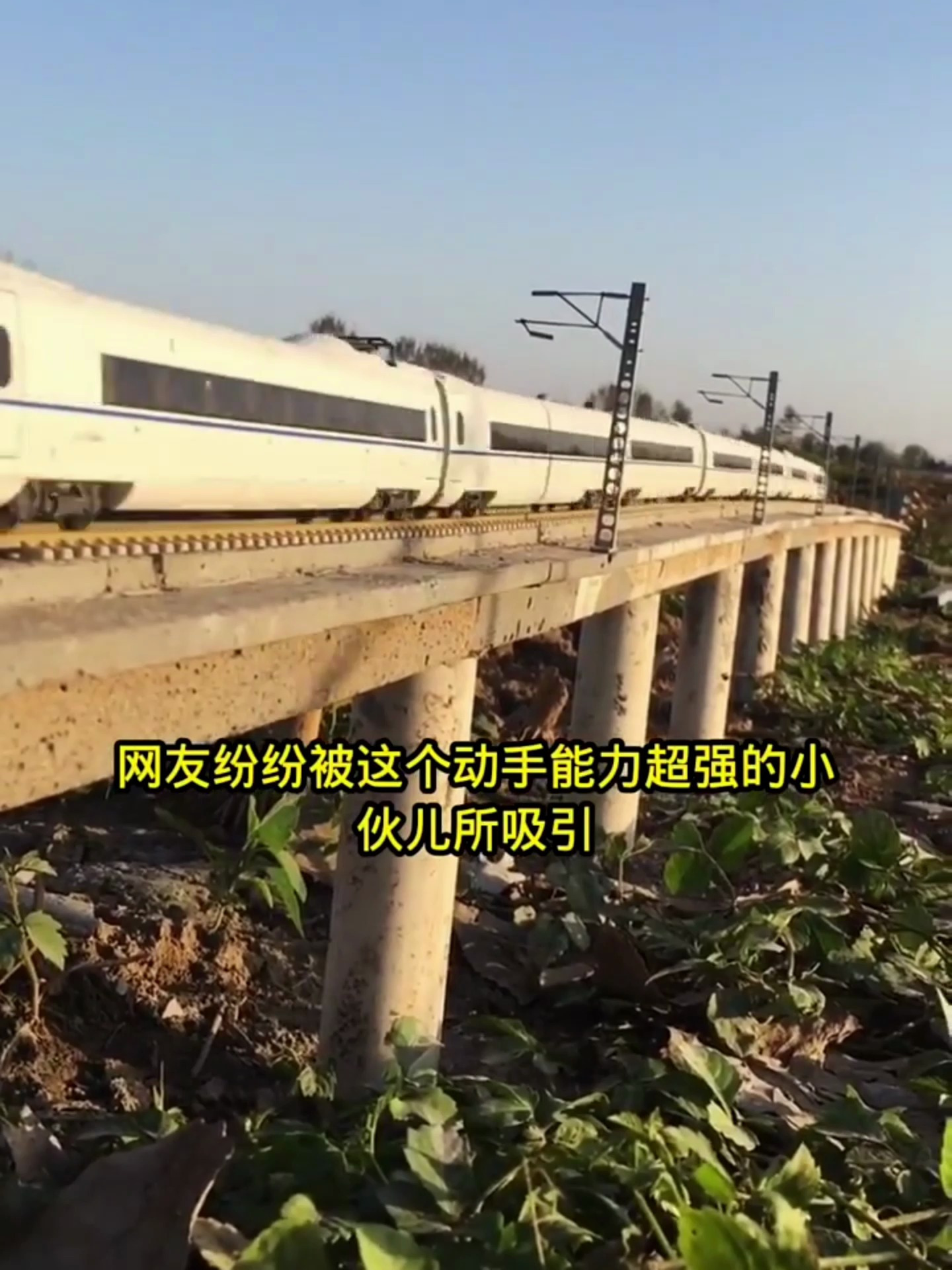 农村小伙在自家菜地里建高铁模型,惊呆众人