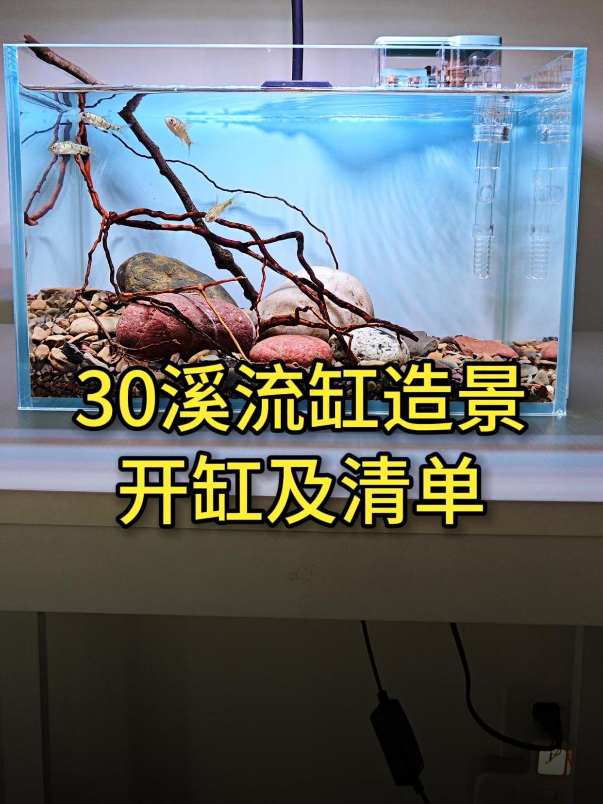 30原生风格鱼缸开缸造景,及器材清单,干货!