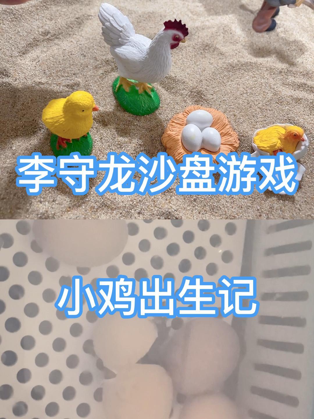 在心理沙盘游戏中小鸡宝宝出生象征着什么?