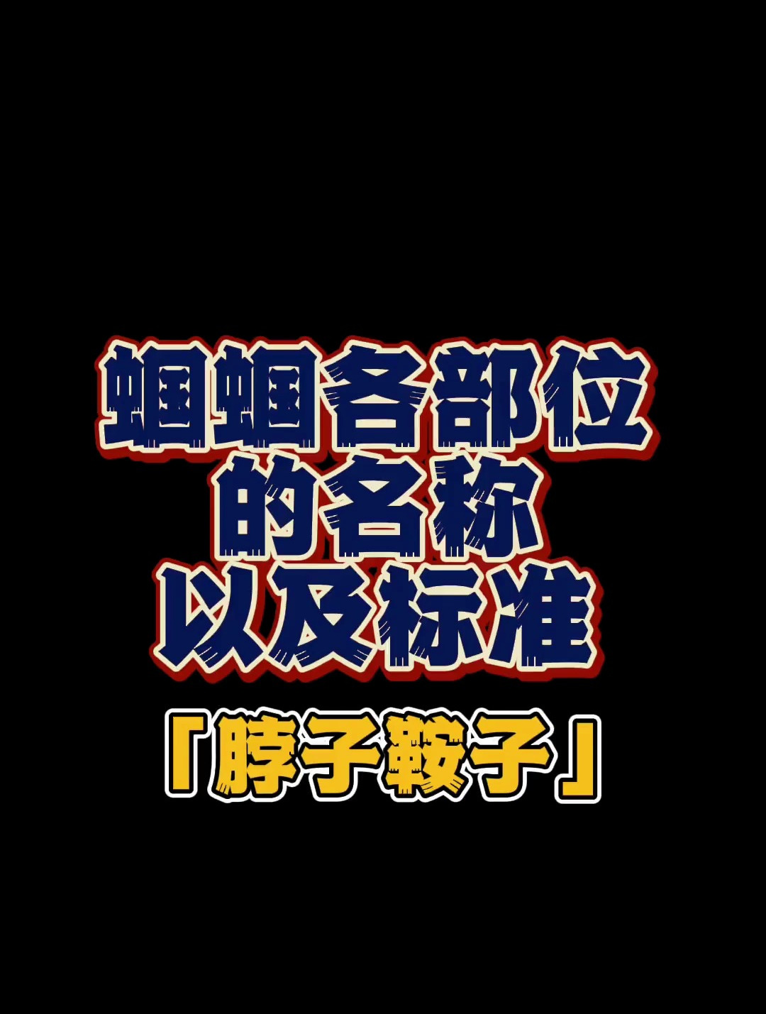 蝈蝈各部位的名称以及标准「脖子鞍子」
