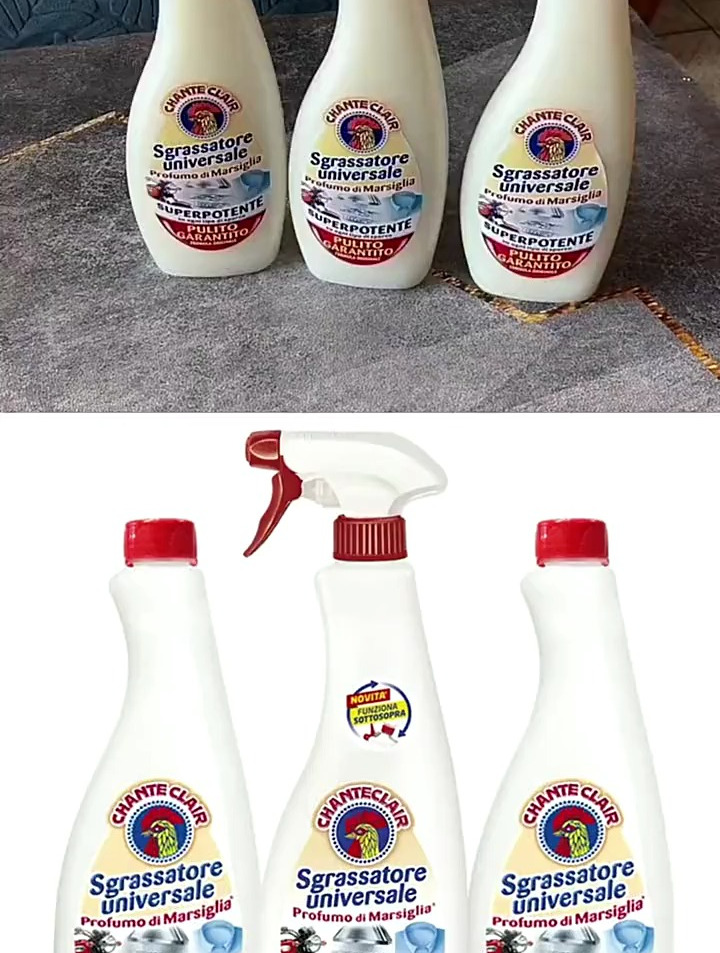 意大利大公鸡管家油污清洗剂抽油烟机去油污厨房清洁重油强力去污