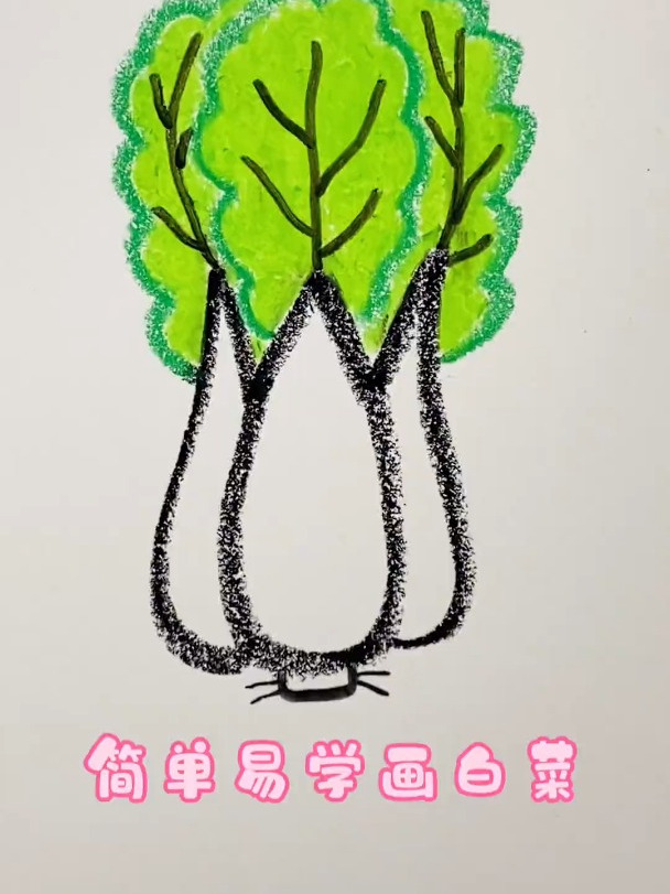 白菜蜡笔简笔画来喽,简单易学!