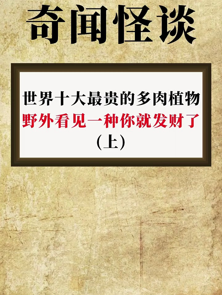 世界十大最贵的多肉植物