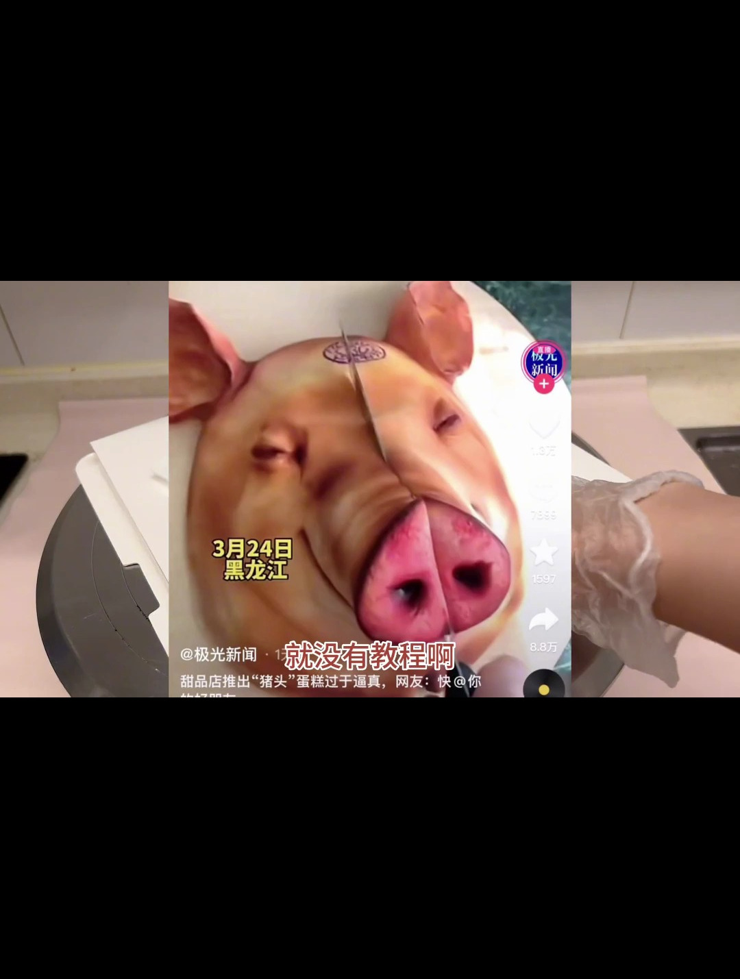 抛开原图不说 我这应该是个猪吧