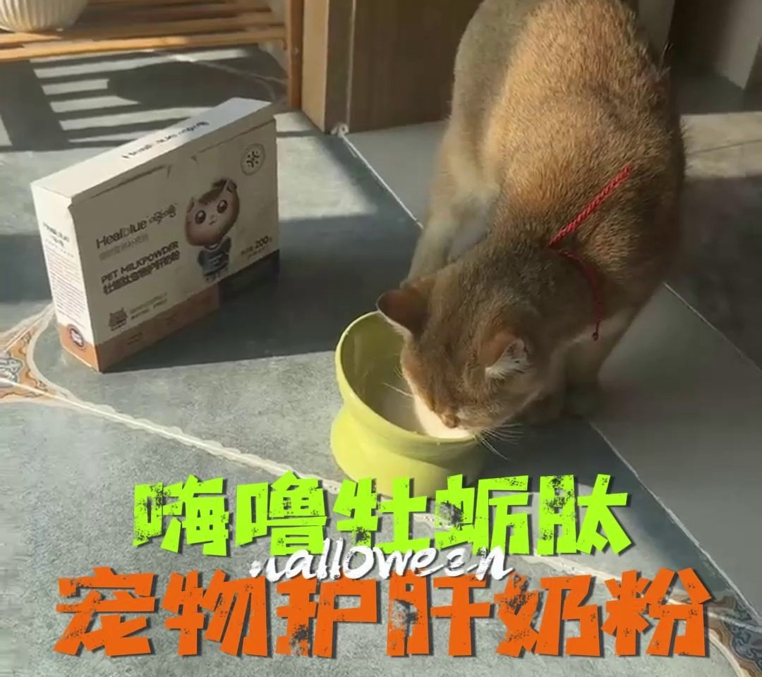 常喝嗨噜牡蛎肽宠物护肝奶粉不仅补钙,补充营养,呵护肠胃