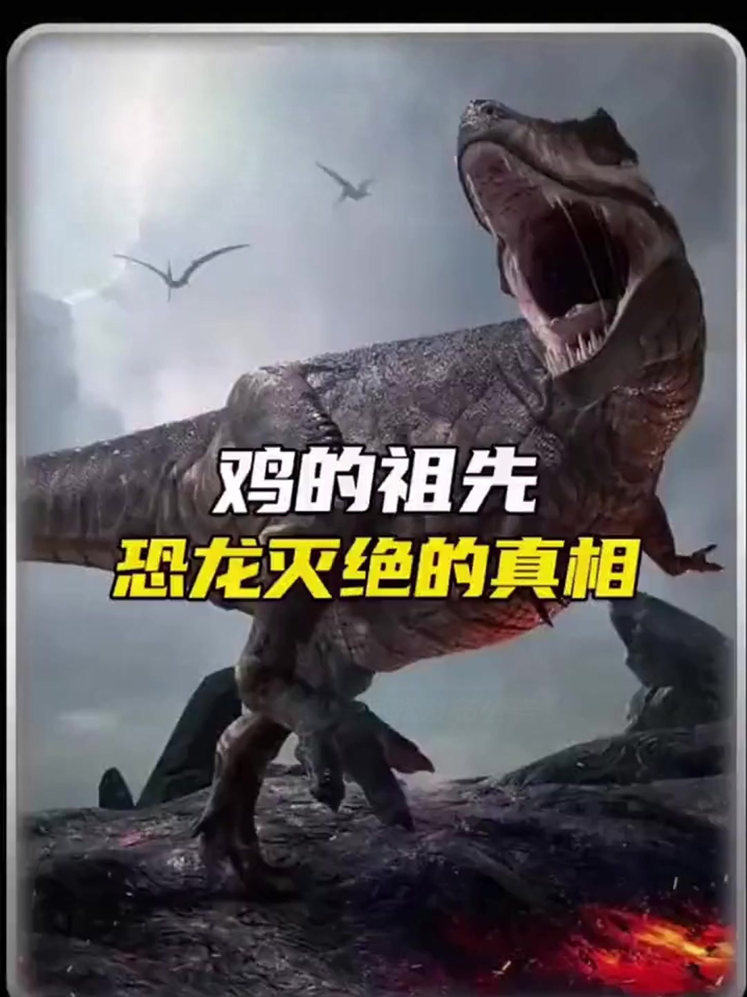 鸡的祖先是恐龙吗