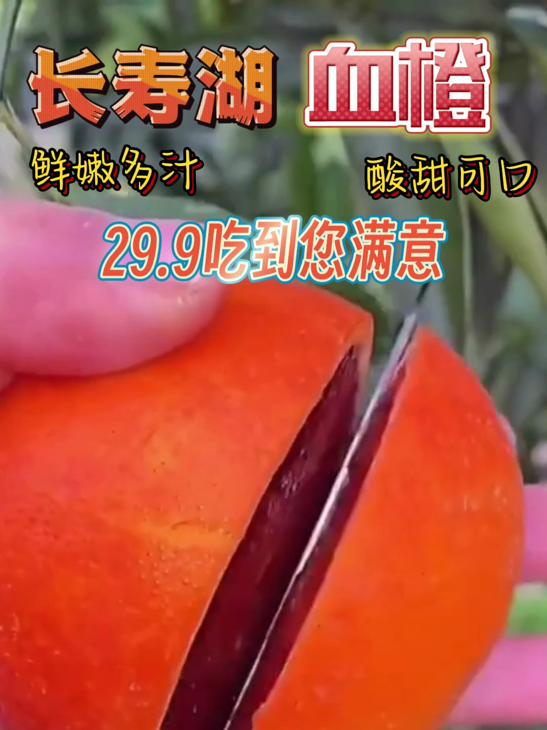 天然熟成!长寿湖血橙,肉质细腻更美味
