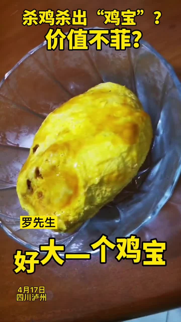 泸州市民杀鸡杀出“鸡宝”?还价值不菲?专家:毫无价值