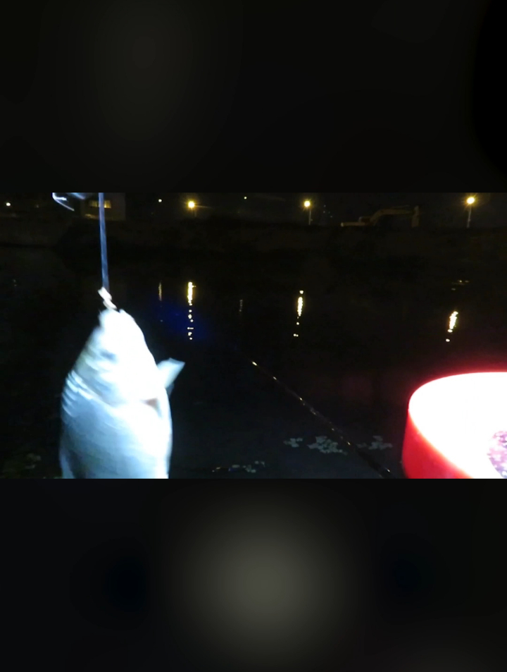 小伙先用饵料钓鱼,后换蚯蚓,效果一目了然,鱼品种提升一个档次
