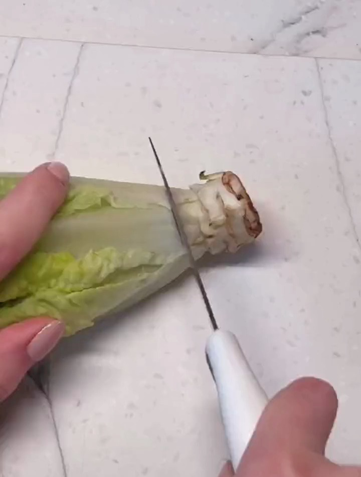 水培蔬菜的方法,实现蔬菜自由