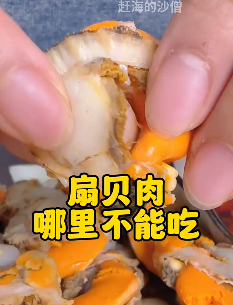 扇贝除了壳,其他都能吃!