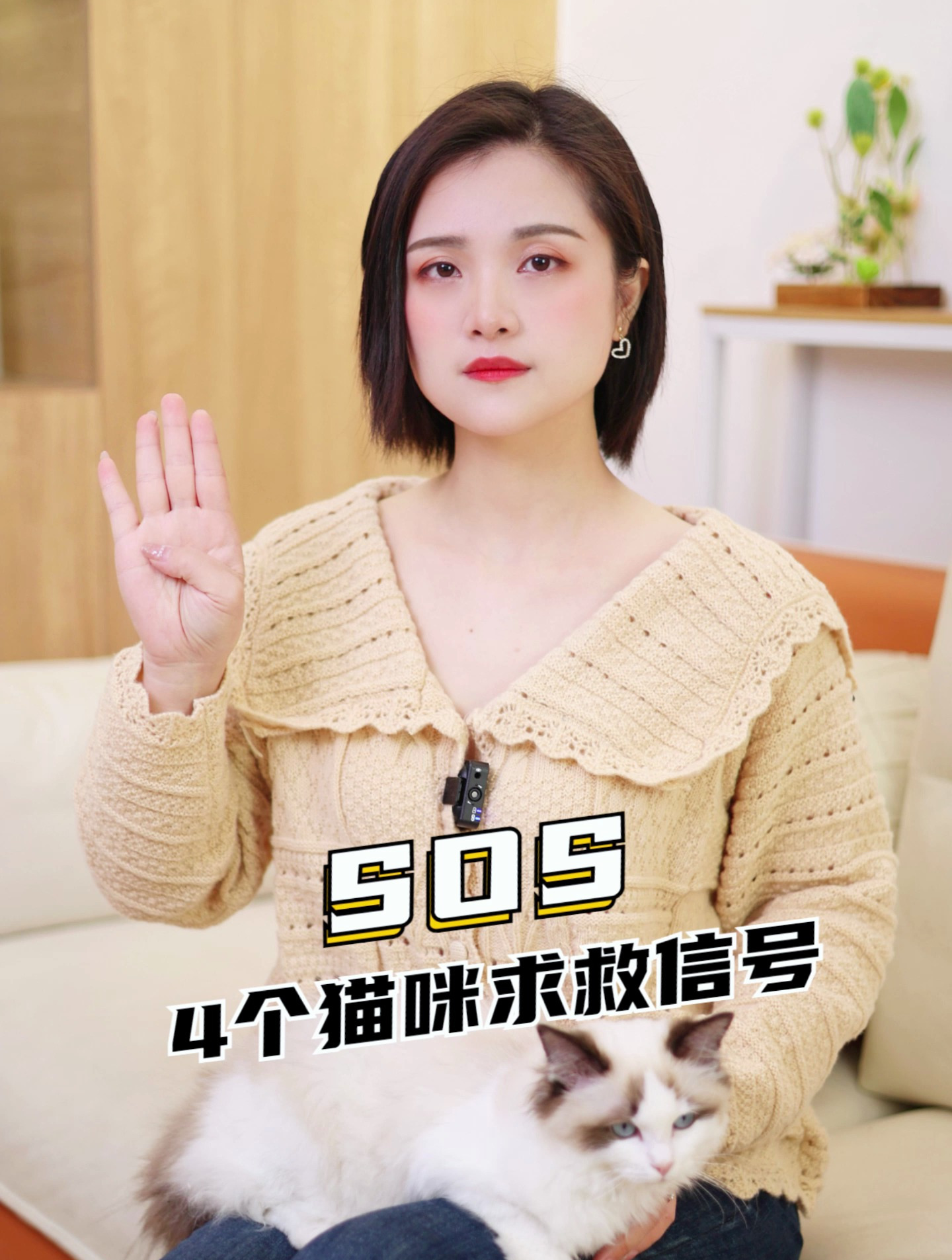 如果你家小猫出现了下面这几种情况,千万不能忽略