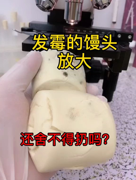 发霉的馒头,一定要扔掉!