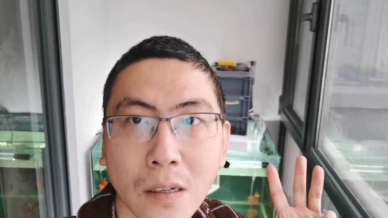 谁能拯救我一下,大冬天的金鱼一周产了三次卵,这不是折腾人么