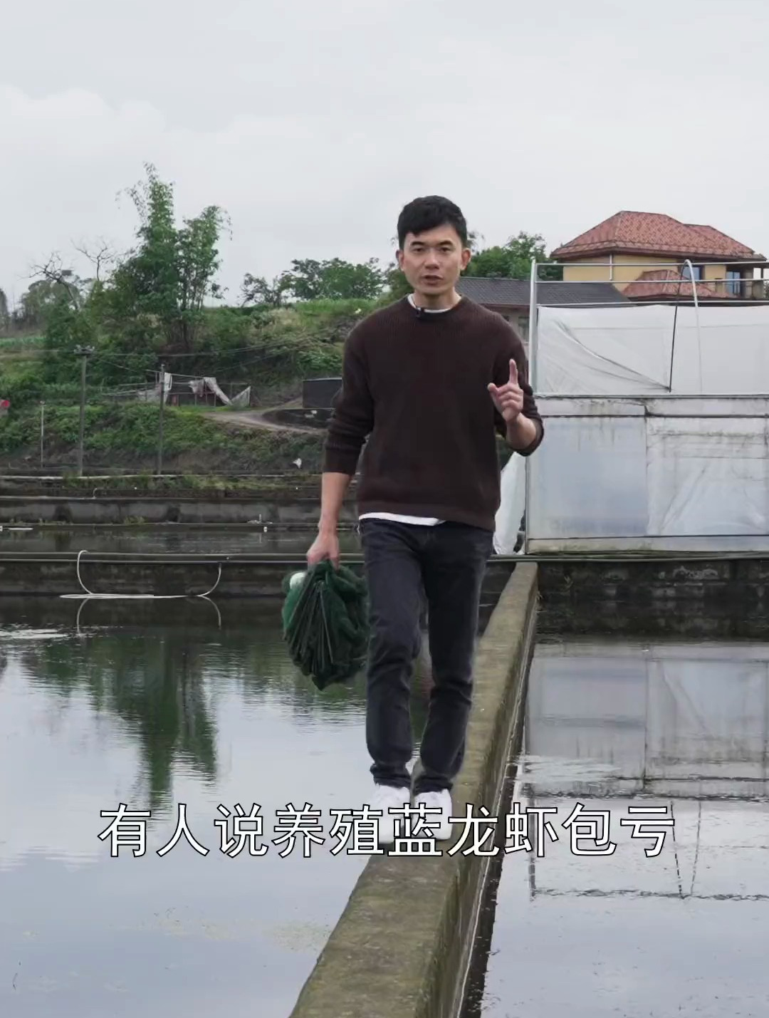 有人说养蓝龙虾包亏,那是因为你没有用对方法!水产养殖小龙虾