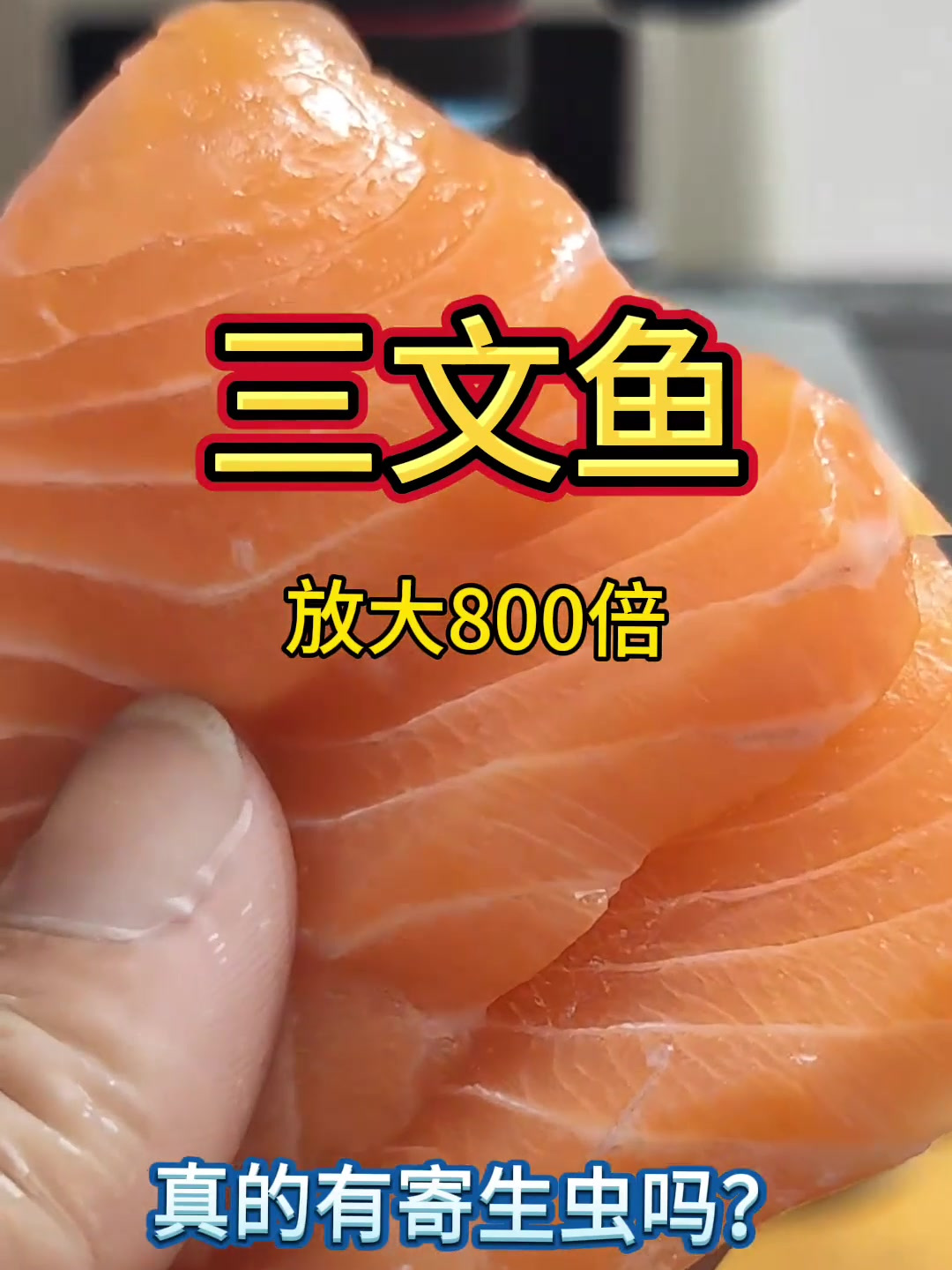 三文鱼放大,生活常识,显微镜下的世界