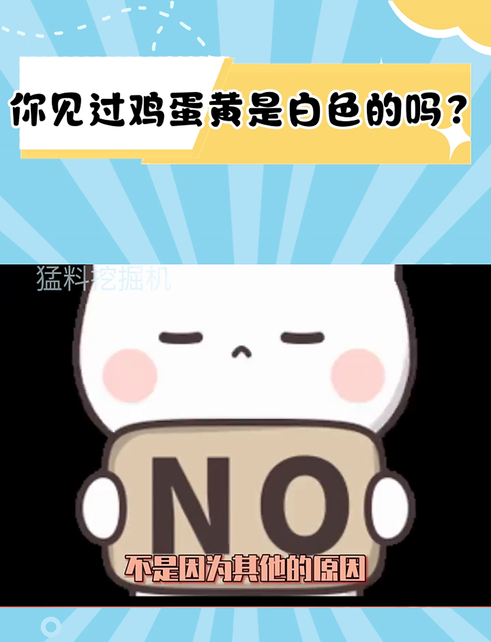 为啥鸡蛋有黄的和白的两种？