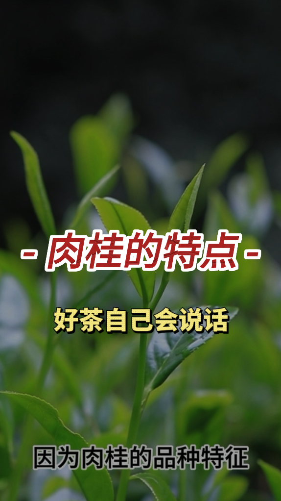 武夷岩茶肉桂都有哪些特点呢?