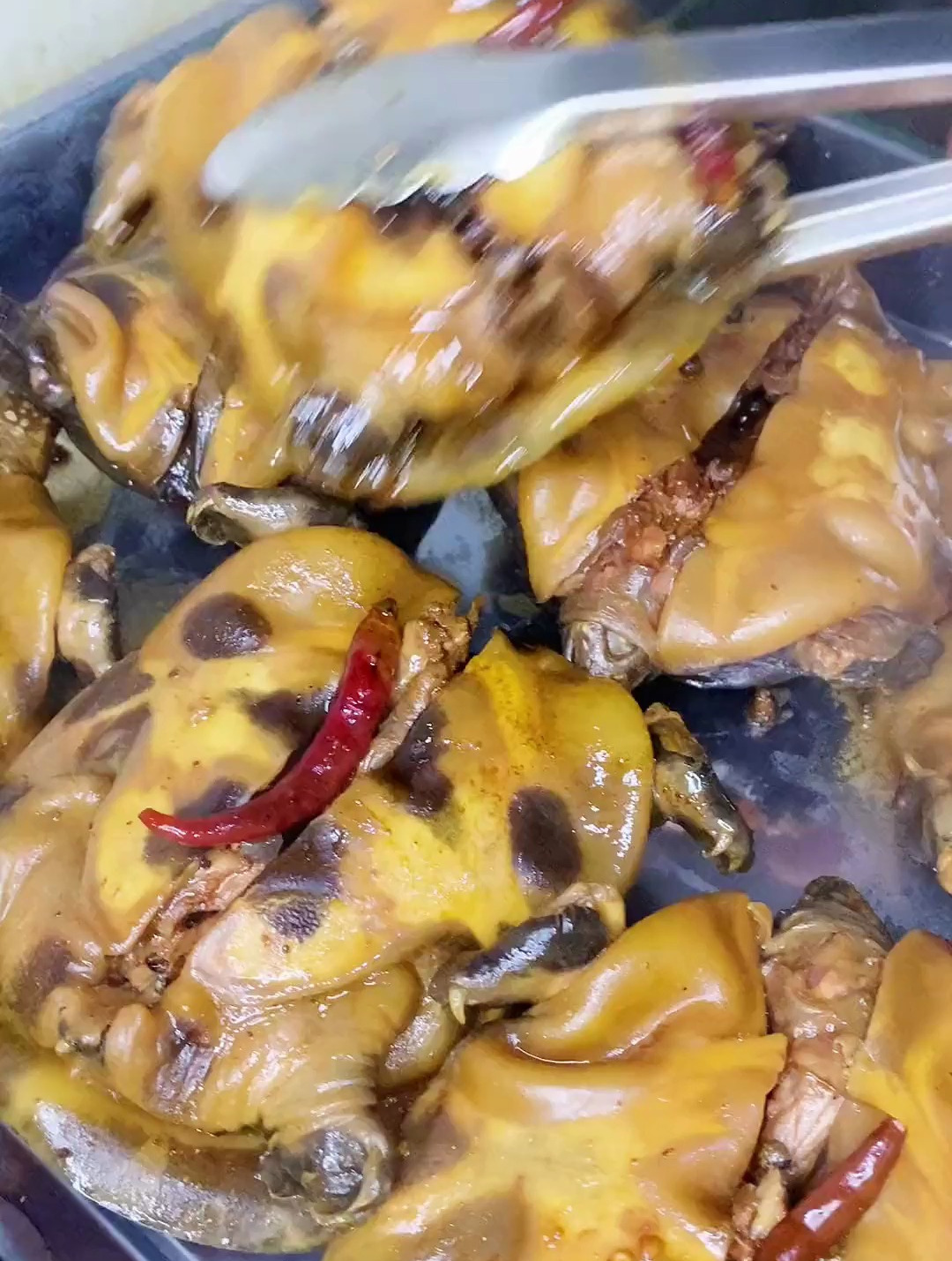 这样的甲鱼你一次能吃几个