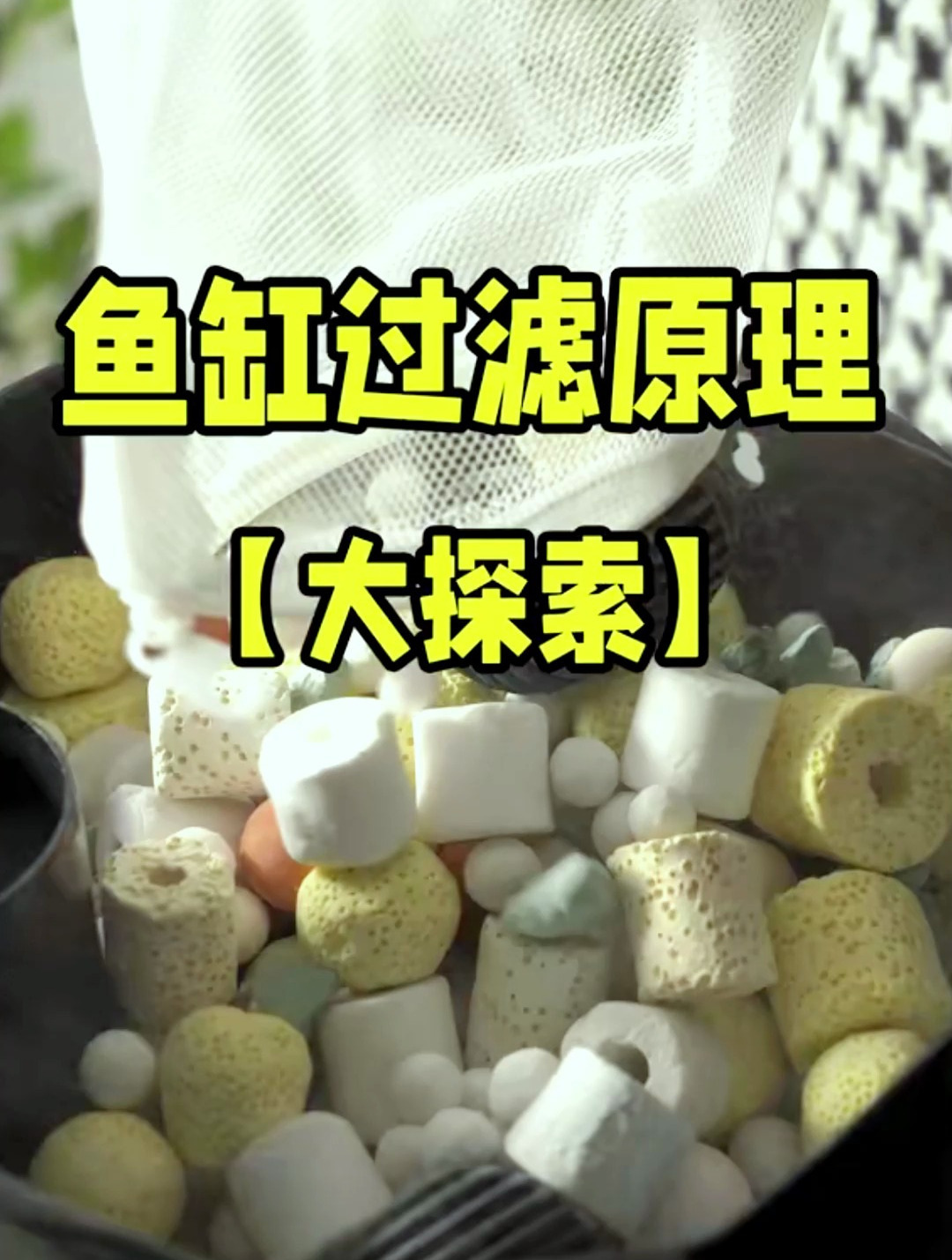鱼缸过滤原理您弄清楚了吗?让您花少钱办大事!